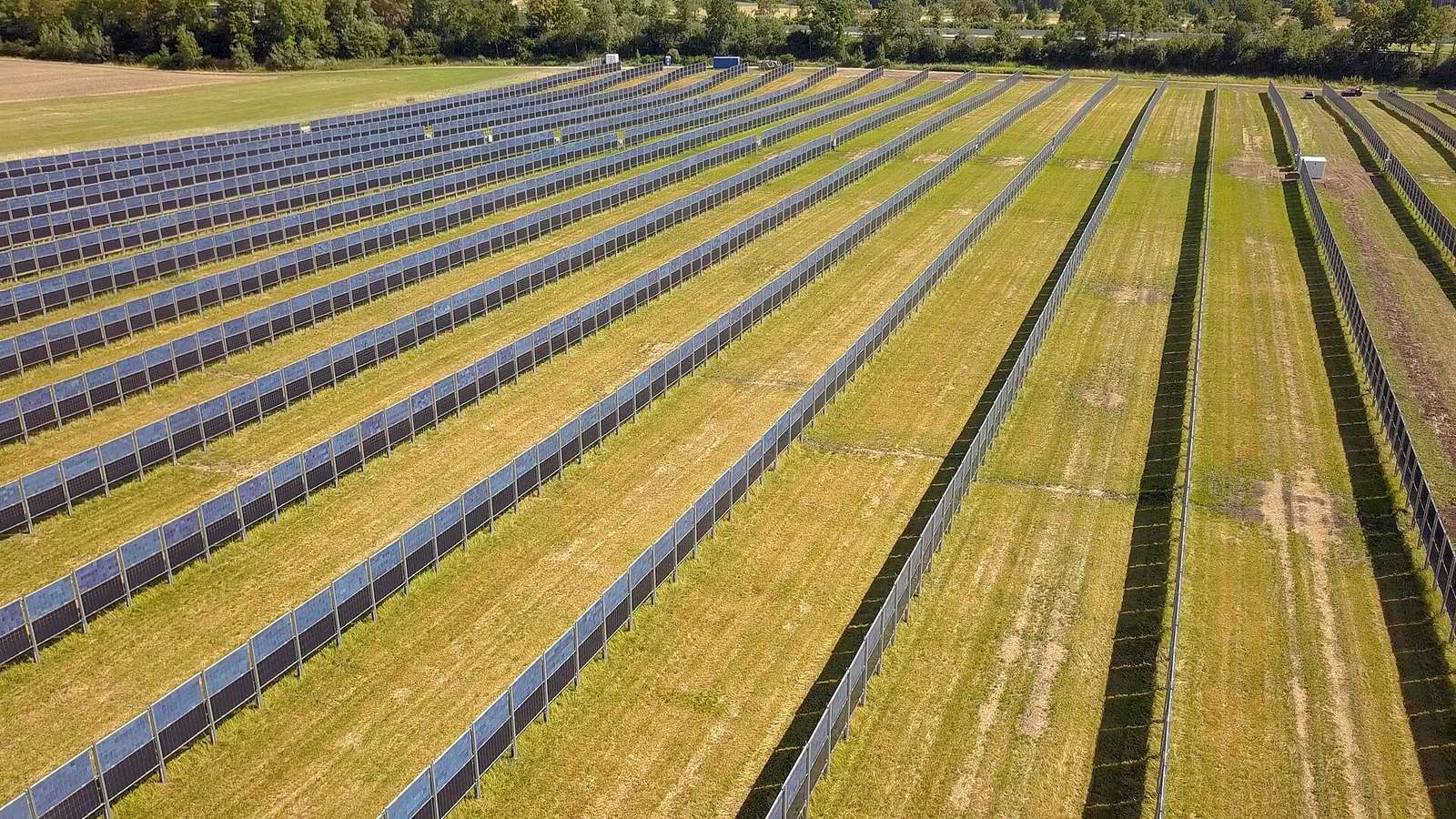 Instalacja agrofotowoltaiczna z pionowymi panelami dwustronnymi na polu uprawnym