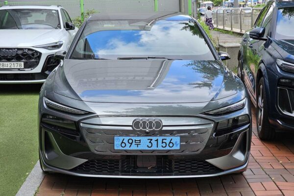 Audi A6 e-tron rekord Guinnessa: 1338 km bez ładowania