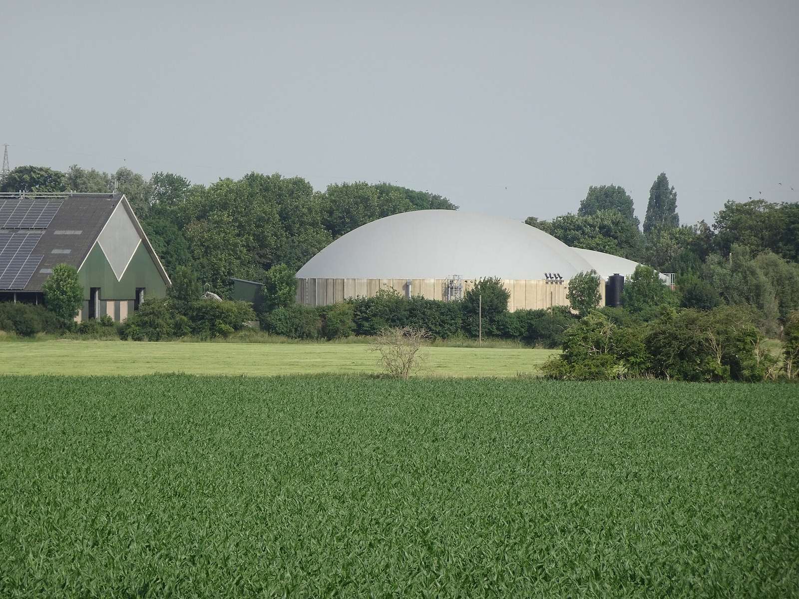 Biogazownia rolnicza z komorami fermentacyjnymi na terenie gospodarstwa