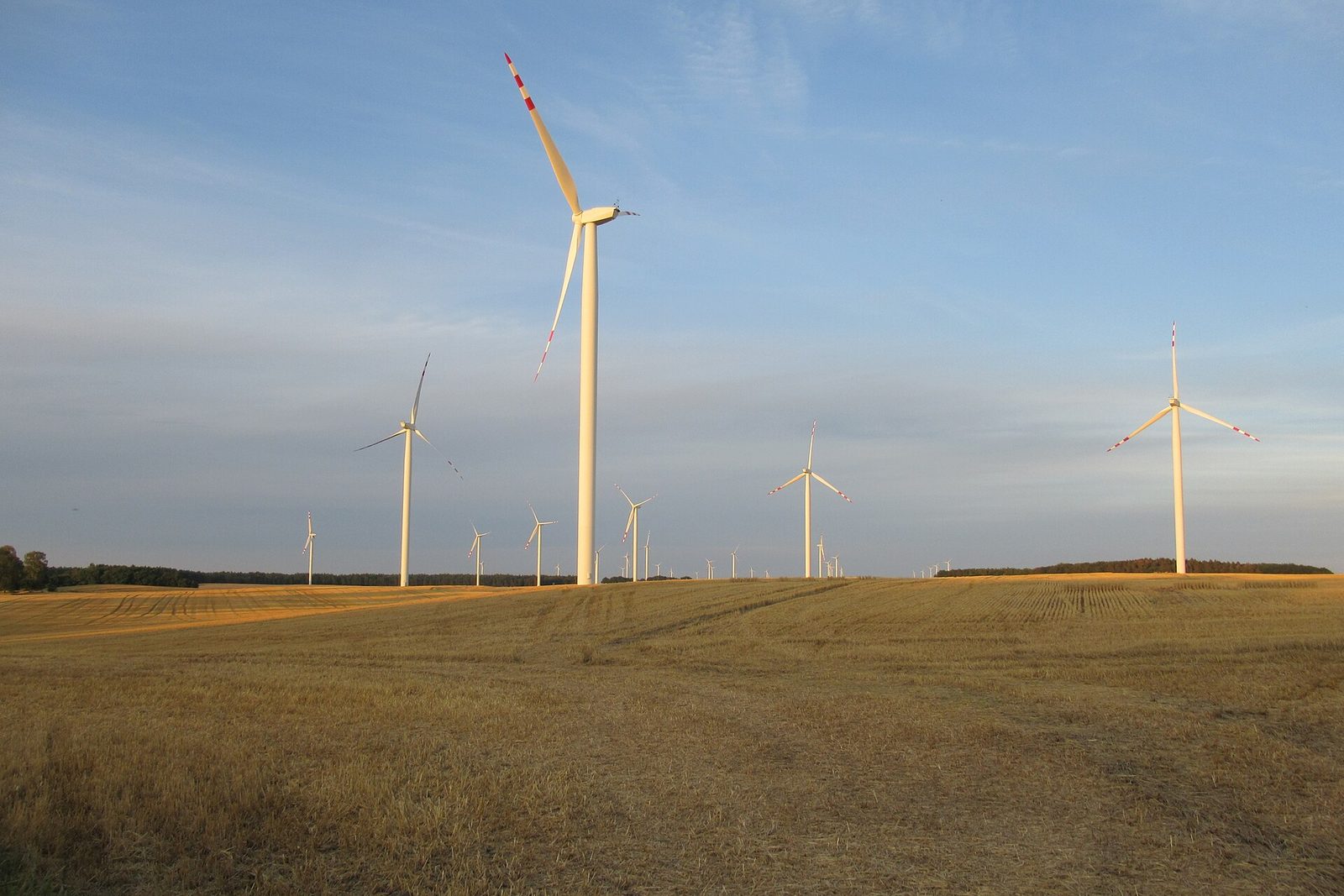 Farma wiatrowa w Polsce z turbinami na polu, ilustracja do umowy PPA ERG Glencore