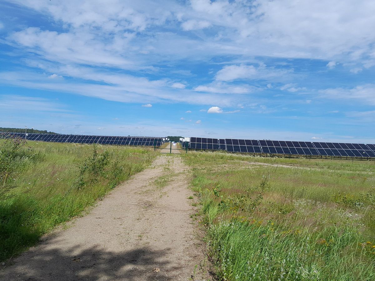 Farma fotowoltaiczna pod Kaliszem Pomorskim – rzędy modułów PV