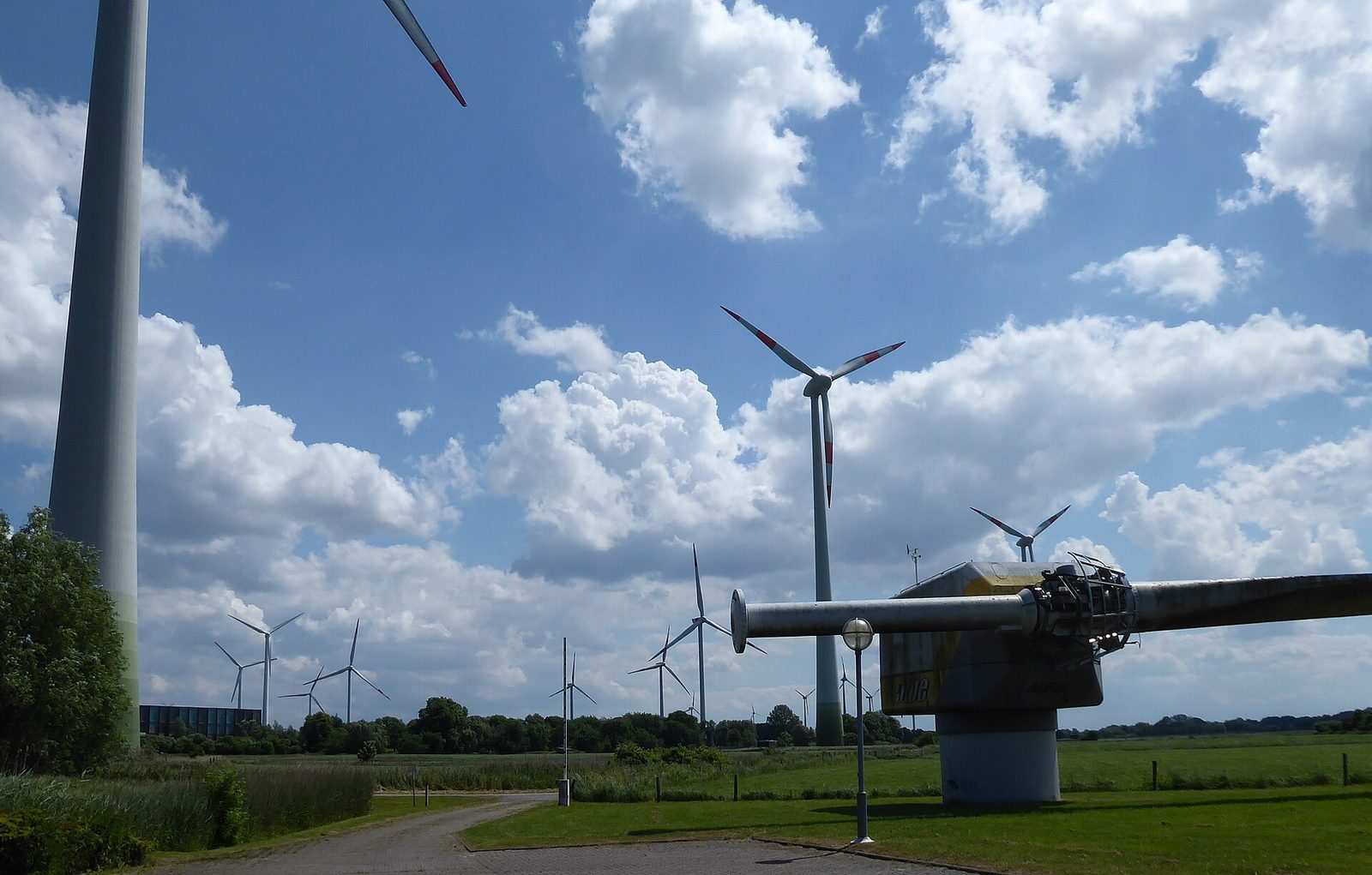 Turbiny wiatrowe farmy Jade w Dolnej Saksonii, regionie z największą pulą aukcji wiatrowej