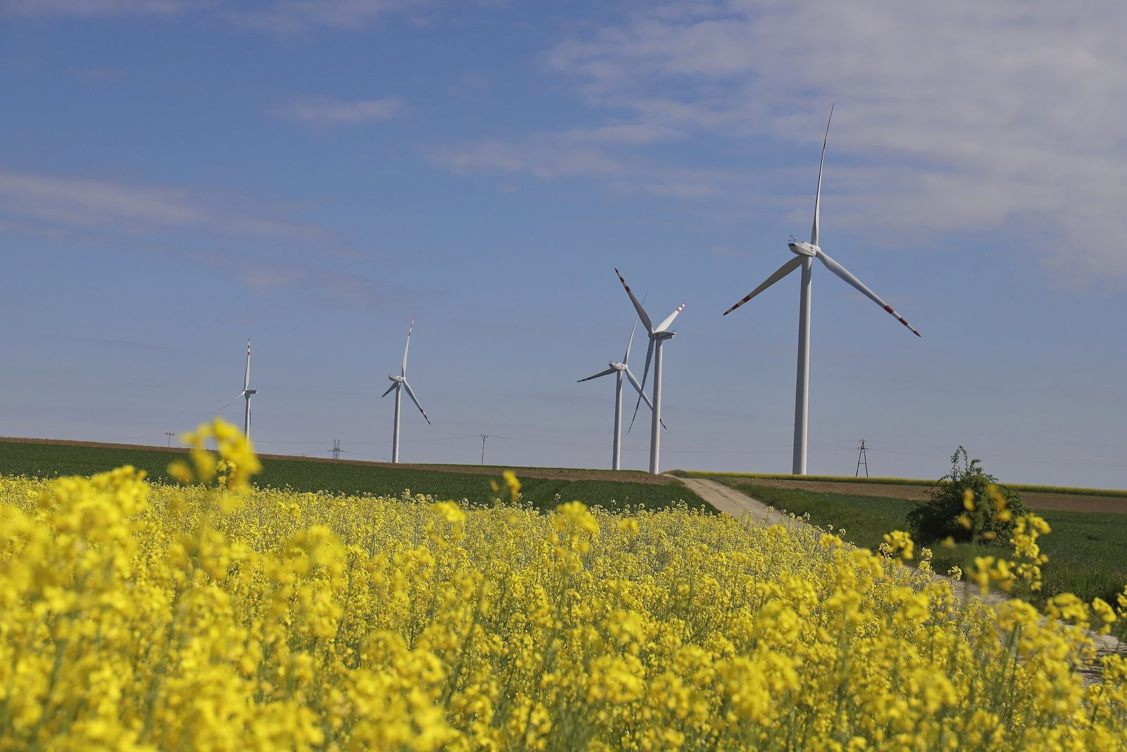 PNE sprzedaje farmę wiatrową Karolew. Projekt ma 153 MW