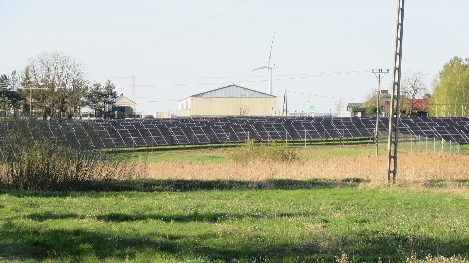 Aukcje OZE 2026: rzędy paneli naziemnej elektrowni słonecznej w Kijowcach na Lubelszczyźnie