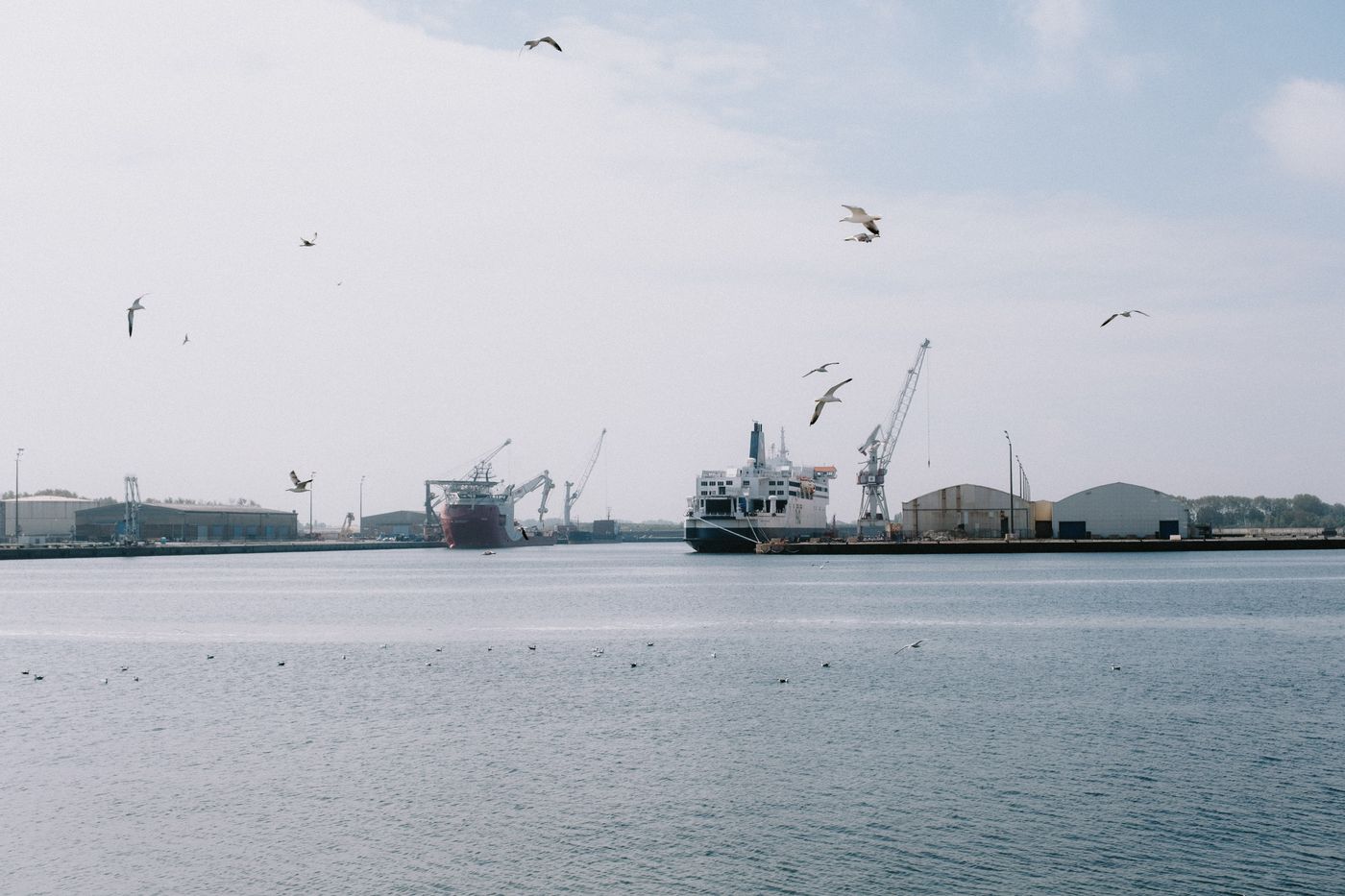 Port w Dunkierce — ilustracja do budowy gigafabryki ogniw ProLogium