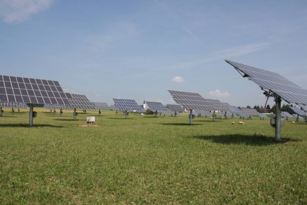 Dama Solar: 100 mln euro od EIB na największą farmę PV w Europie