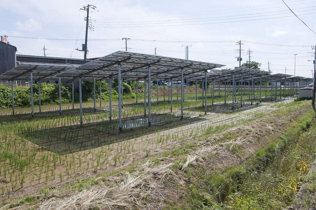 Duży park fotowoltaiczny z rzędami modułów, ilustracja do raportu o repoweringu