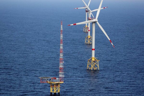 Greenpeace grozi pozwem Crown Estate. Chodzi o opłaty za dno morza