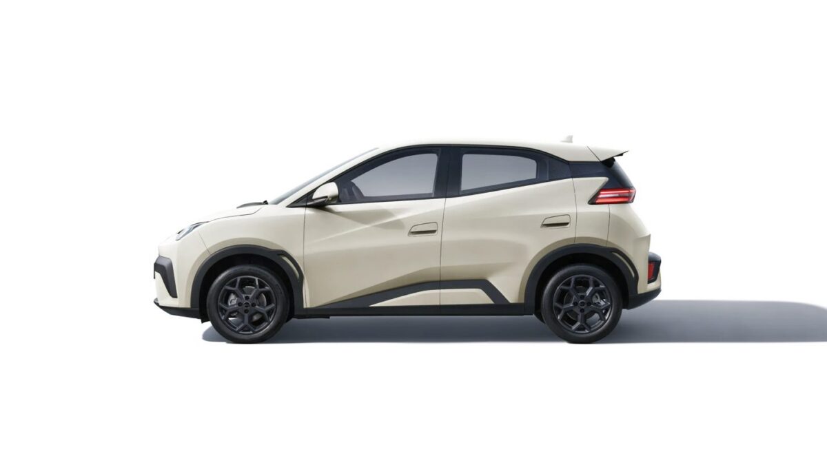BYD Dolphin Surf – widok z boku